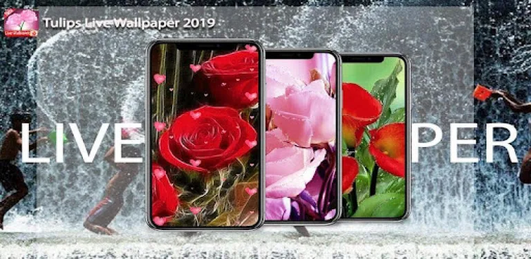 Tulips Live Wallpaper 2019 HD Free Tulips flowers cover image