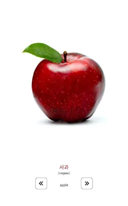 Learn and play Korean words screenshot 12