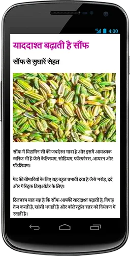 Ayurvedic Gharelu Nuskhe screenshot 6