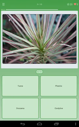 Quiz: Flowers, Plants screenshot 11