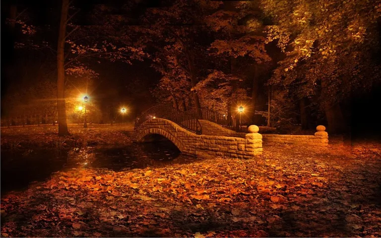 Autumn Twinkle Lights live wallpaper screenshot 7