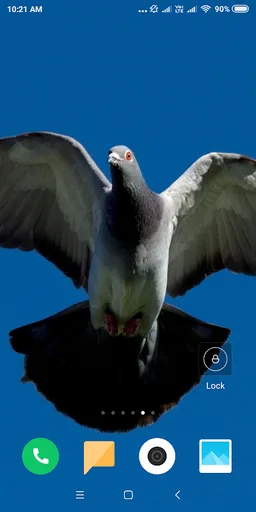Pigeon Wallpaper screenshot 10