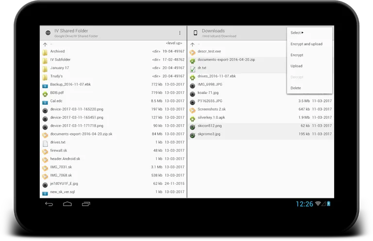 Silver Key screenshot 7
