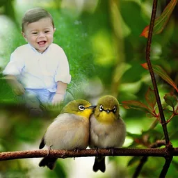 Bird Insta DP screenshot 2