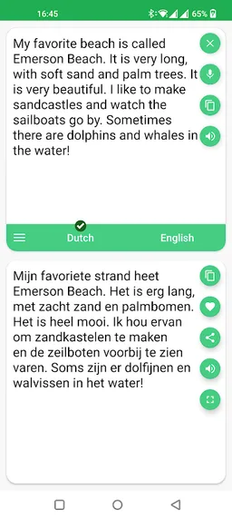Dutch - English Translator screenshot 2