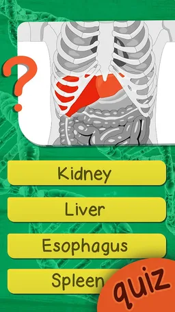 The Human Anatomy Quiz App On Human Body Organs screenshot 6