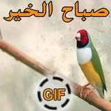 صور متحركة صباح الخير وبطاقات صباحية  gif  بدون نت icon