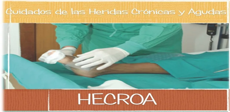 HECROA cover image