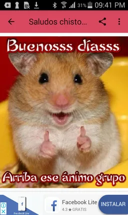 Saludos graciosos y divertidos screenshot 6