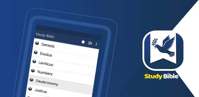 Study Bible strong reference cover image