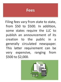 limited liability company  LLC screenshot 2