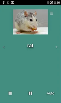 English Animals screenshot 3