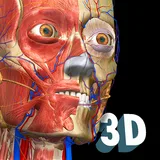 Anatomy Learning - 3D Anatomy Atlas icon