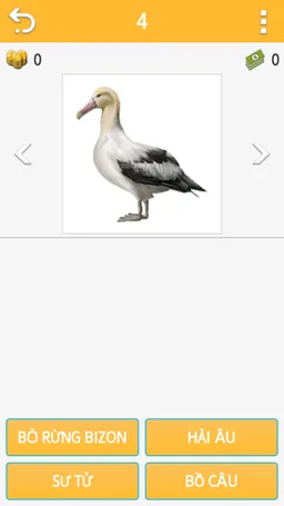 Guess Animal screenshot 13