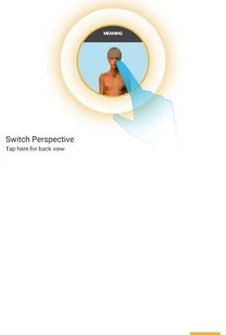 Taekwondo Forms screenshot 10