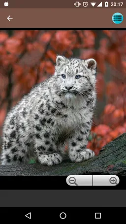 Autumn wallpapers collections screenshot 1