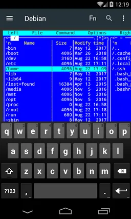 Term> SSH/SFTP, ssl, tcp client screenshot 4