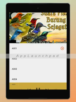 Suara Pikat Burung Ribut Mp3 screenshot 2