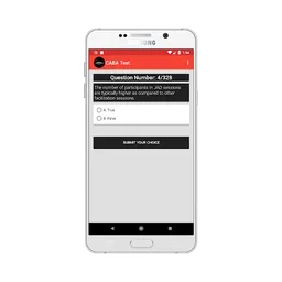 Business Analyst Certification Practice Test screenshot 10