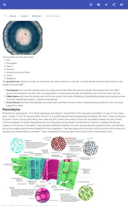 Body tissues screenshot 9