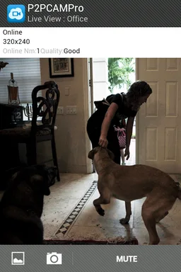 P2PCAMPro screenshot 3