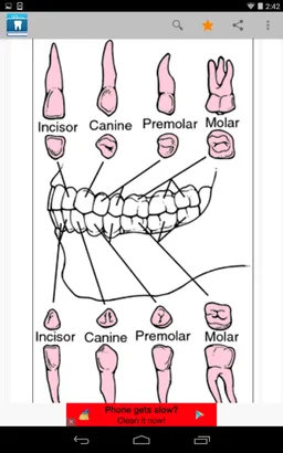 Dental Dictionary by Farlex screenshot 12