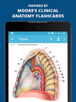 USMLE Clinical Anatomy screenshot 11