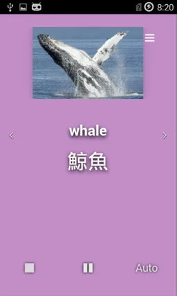 English Animals screenshot 4