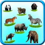 Wild Animals Sounds icon