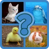 QUIZINATOR GW ANIMALS icon