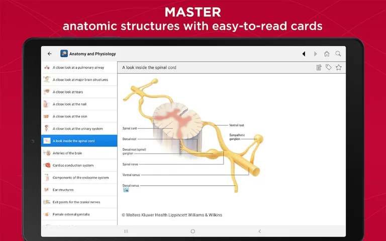Anatomy & Physiology Made Easy screenshot 7