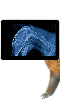 Pet Xray- Prank screenshot 2