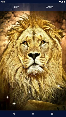 Wild Animals Wallpapers screenshot 8