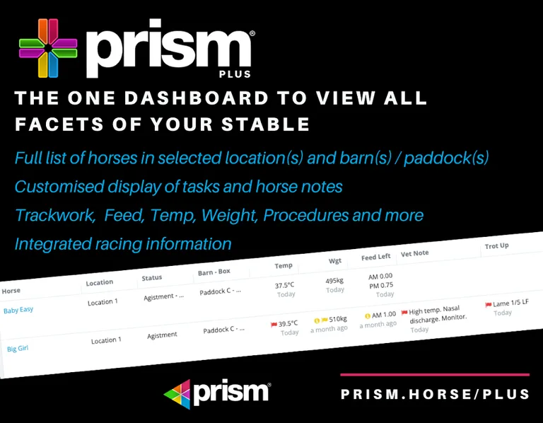 Prism Plus Tablet screenshot 8