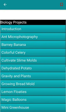 Students Projects screenshot 3