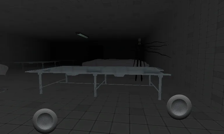 Slender lunatic screenshot 1