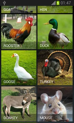 Farm Animals screenshot 2