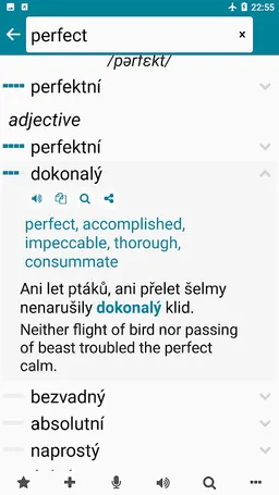 Czech - English screenshot 2