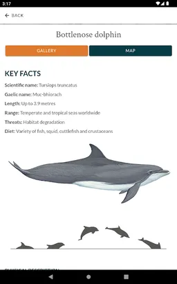 Whale Track screenshot 14