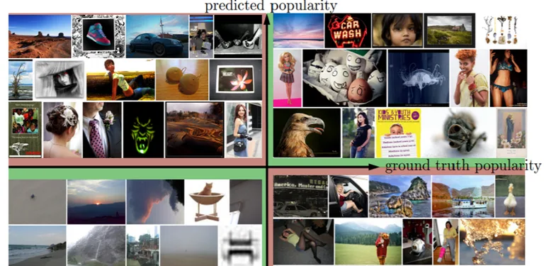 Popularity cover image