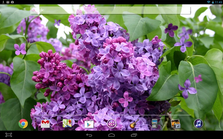 Lilac Flower LWP screenshot 3