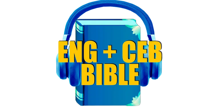 Bible King James Version cover image