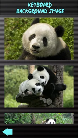 Awesome Panda Keyboards screenshot 3