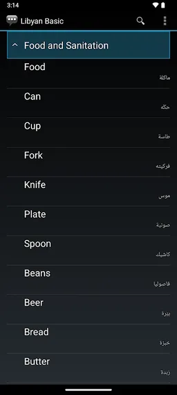 Libyan Basic Phrases screenshot 4