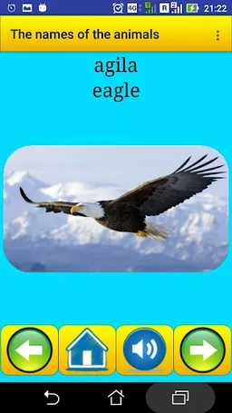 Animal names in Filipino screenshot 3