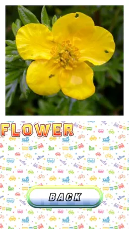 English for kids learning free screenshot 8