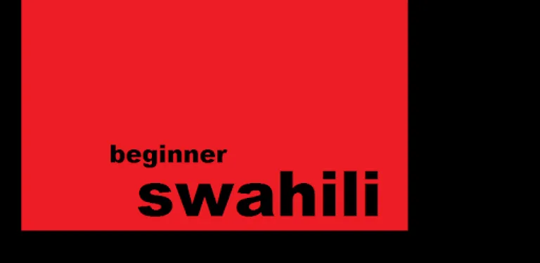 Beginner Swahili cover image