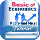 Basic of Economics Macro and Micro icon