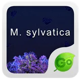 GO Keyboard M.sylvatica theme icon