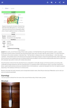 Body tissues screenshot 2